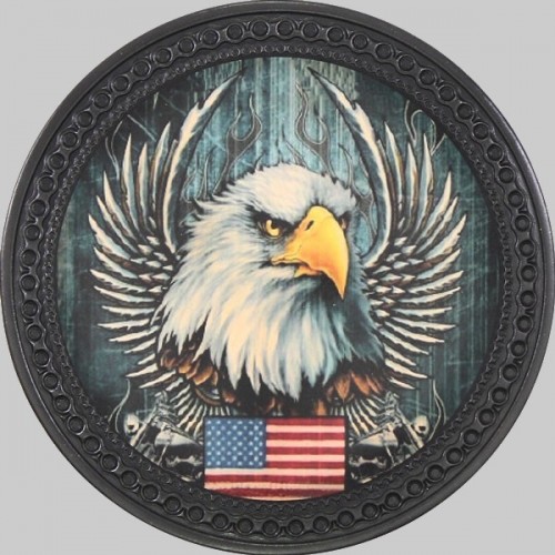 American Eagle Leather Back Patch