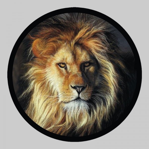 Petit patch cuir lion