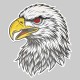 Eagle head patch in embossed leather, red eye