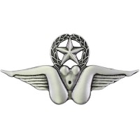 Pin US Army Schwingen Pin-up, Zinn